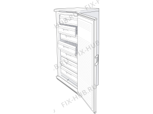 Холодильник Gorenje F6311W (181338, ZOS3166) - Фото